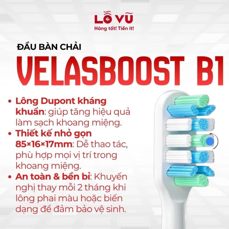 Đầu bàn chải velasboost B1 - Làm sạch sâu, sợi nylon dupont hiện đại
